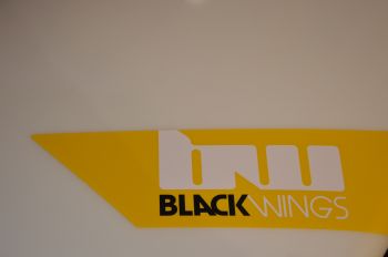 BlackWings 6'6 egg COBRA cristal clear