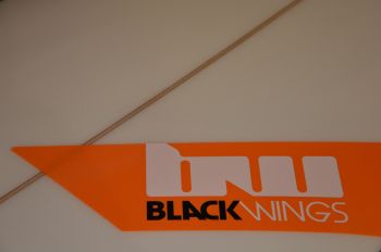 BlackWings 8'0 EGG MINI MALIBU cristal clear