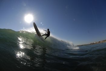 BlackWings 9'1 LONGBOARD ALROUND cristal clear