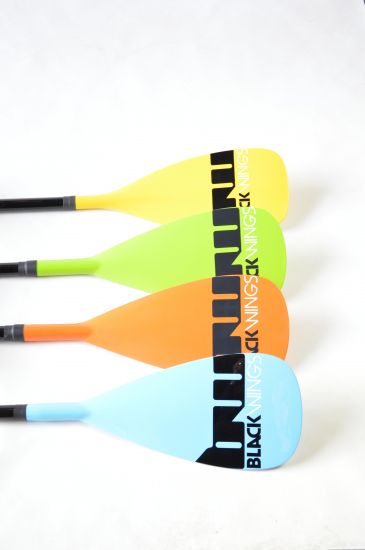 Paddle BlackWings carbon/fiber fixed