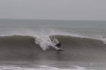 Surf Blackwings Chough 6'0